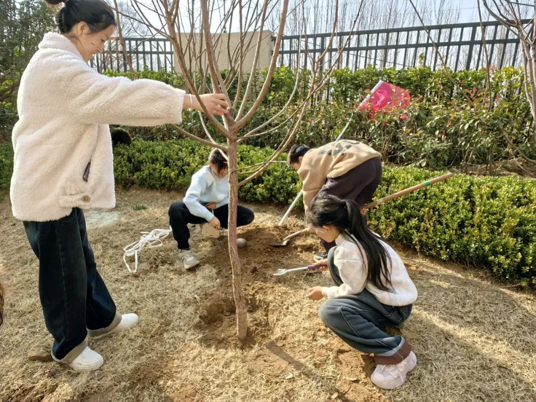 栽种希望，优美成荫！ca88·九州雅叙春光植造行动圆满举行