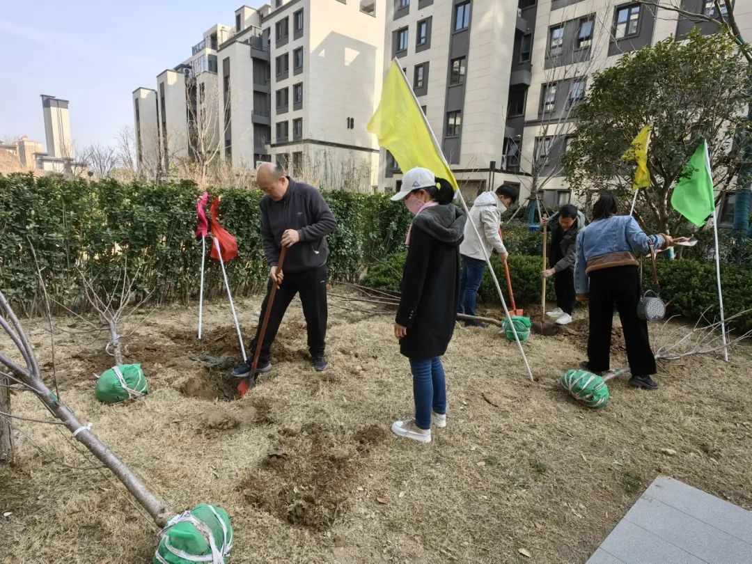 栽种希望，优美成荫！ca88·九州雅叙春光植造行动圆满举行